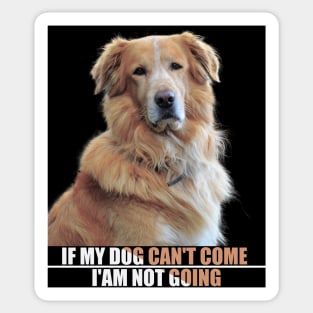 a cute furry dog with a caption : If my dog can't come i'am not going. for pet lovers Sticker